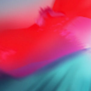 Meet your Posher, Dylan